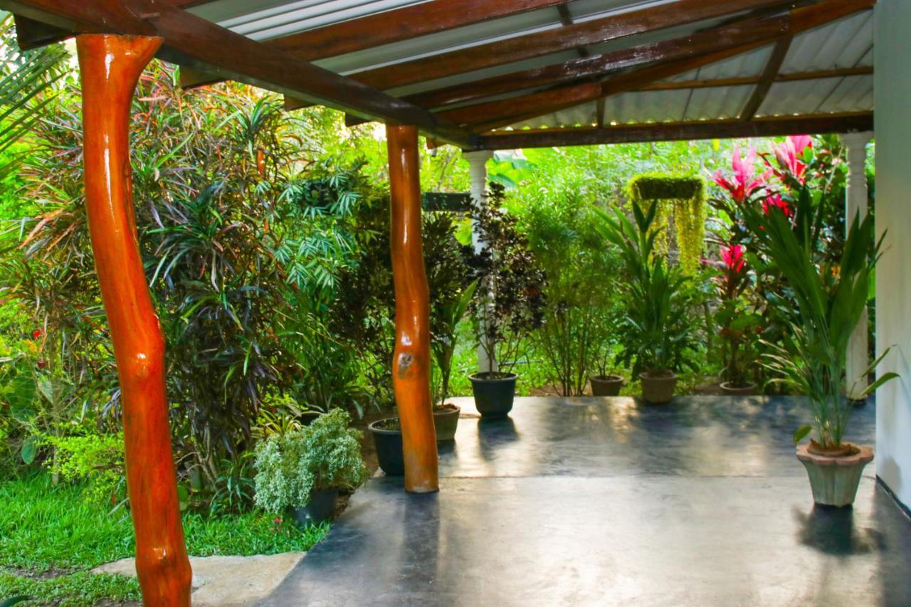 Sigiri Sandilu Homestay シギリヤ エクステリア 写真
