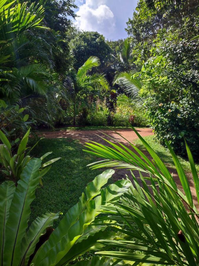 Sigiri Sandilu Homestay シギリヤ エクステリア 写真
