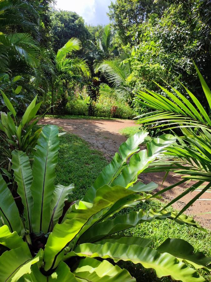 Sigiri Sandilu Homestay シギリヤ エクステリア 写真